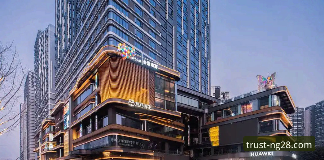 南宫28品牌力量全面评测：揭秘其官网稳定服务背后的用户体验