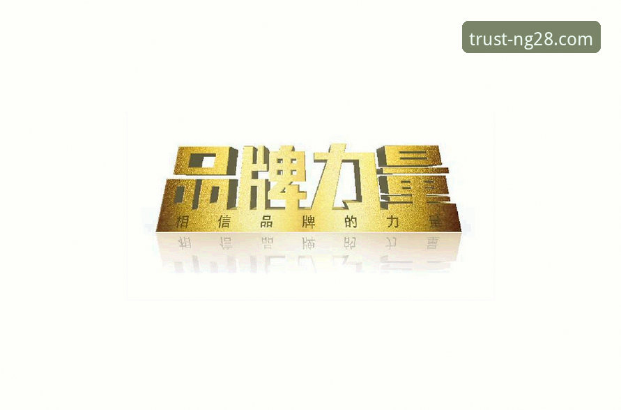 掌握南宫28品牌力量的实用指南：官方网站访问与最新版体验