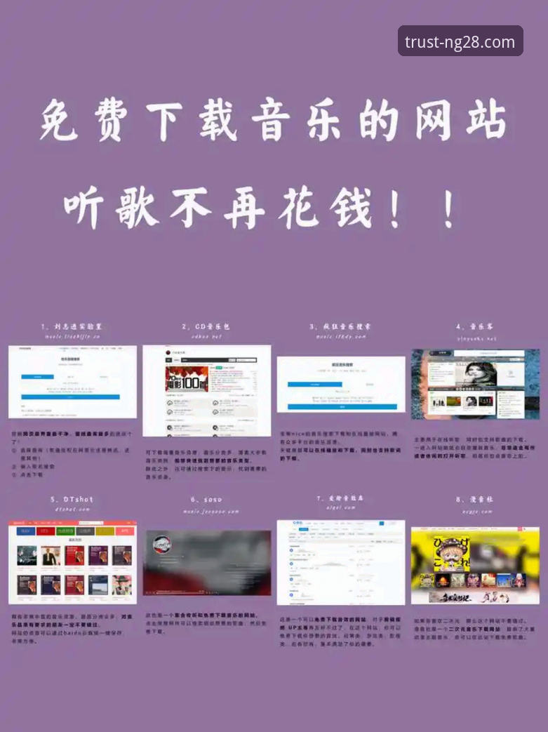 南宫28官方网站便捷入口教程：从下载到使用完整指南