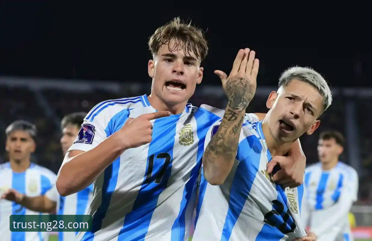 阿根廷新星伤别世界杯事件深度解析与南宫28官方网站最新版资讯获取教程